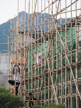 青少年听力健康面临严峻挑战；委员呼吁完善校园体检体系；早筛早干预守护未来。