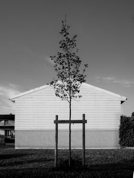 中国推动银行信贷支持科技创新 科技型中小企业贷款余额达3.63万亿