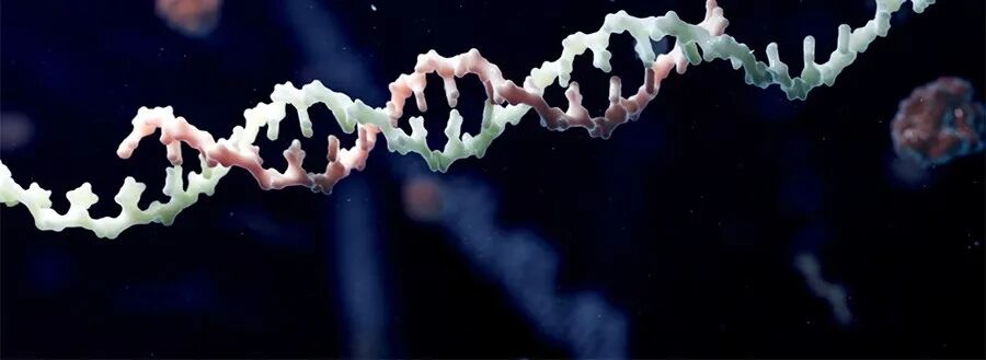  全球罕见病领域迎来曙光，寡核苷酸疗法加速推进；十余款在研新药进入关键3期阶段，患者未来治疗选择显著增多。 健康养生 全球罕见病领域迎来曙光，寡核苷酸疗法加速推进；十余款在研新药进入关键3期阶段，患者未来治疗选择显著增多。 健康养生