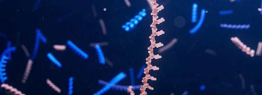  全球罕见病领域迎来曙光，寡核苷酸疗法加速推进；十余款在研新药进入关键3期阶段，患者未来治疗选择显著增多。 健康养生 全球罕见病领域迎来曙光，寡核苷酸疗法加速推进；十余款在研新药进入关键3期阶段，患者未来治疗选择显著增多。 健康养生