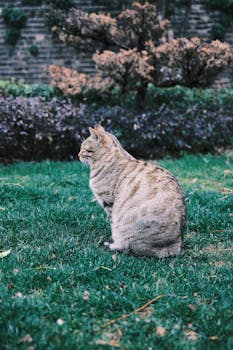 四部门联合重磅发文，科技保险迎来重大机遇；20项举措全面覆盖创新链条。