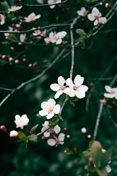  新春伊始国务院聚焦民生要务；从银发消费到消防基层，再到水资源法治保障。 新闻 新春伊始国务院聚焦民生要务；从银发消费到消防基层，再到水资源法治保障。 新闻