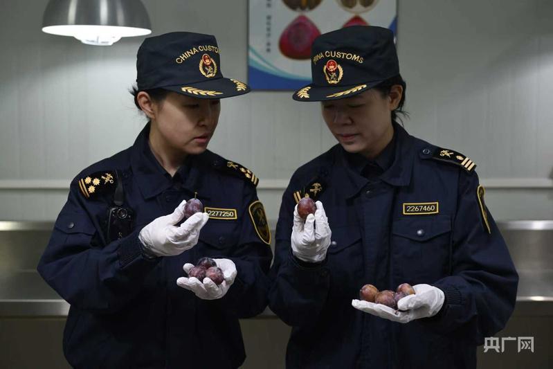  外贸开局强劲，活力持续释放；新动能领跑增长，上海表现突出。 股票财经 外贸开局强劲，活力持续释放；新动能领跑增长，上海表现突出。 股票财经