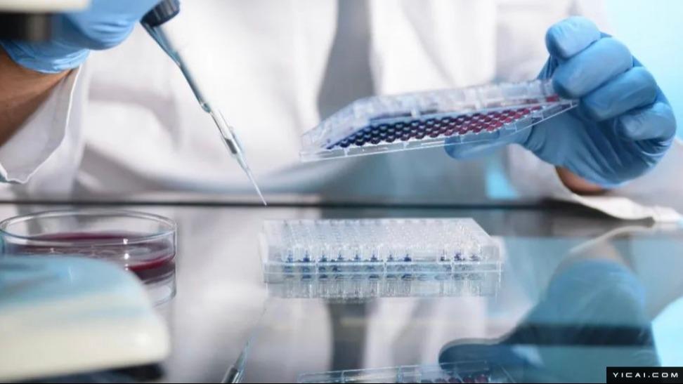  跨国药企重金布局：深度解析千亿资金背后的市场博弈与战略转型 新闻