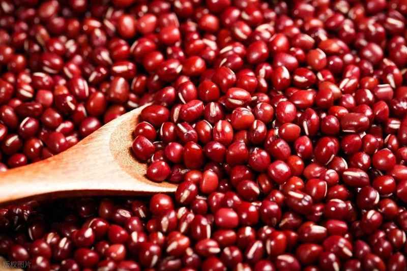  平价食材绿豆：探索降脂护肝的科学获取方式 健康养生