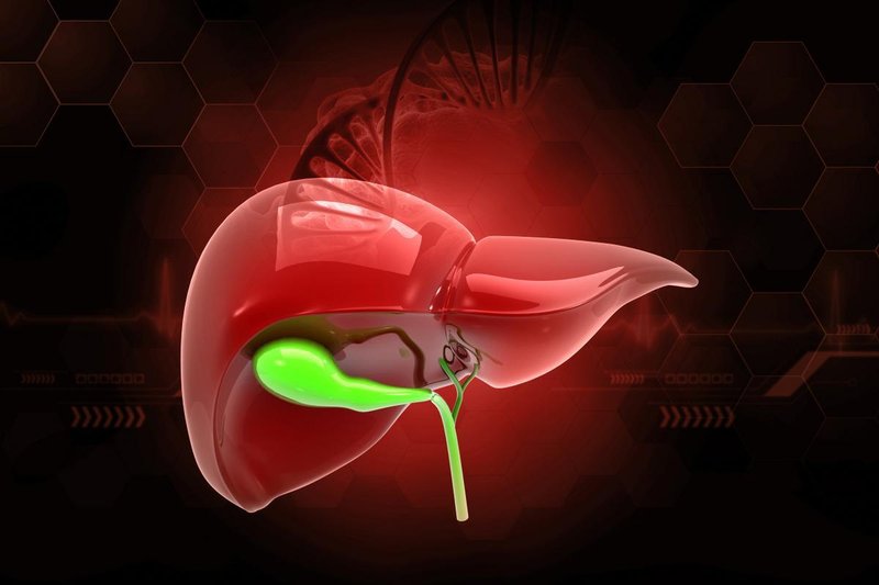  平价食材绿豆：探索降脂护肝的科学获取方式 健康养生