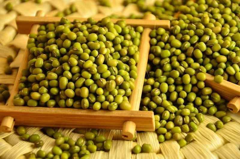  平价食材绿豆：探索降脂护肝的科学获取方式 健康养生