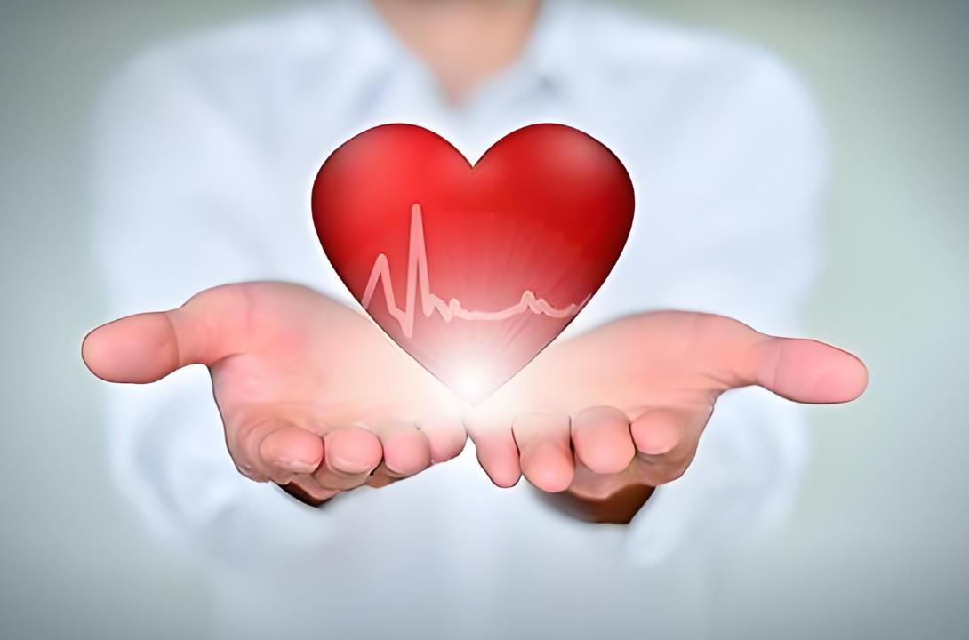  平价食材绿豆：探索降脂护肝的科学获取方式 健康养生