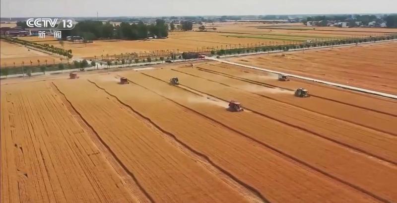 农耕智慧进阶:解码清明气候与高产栽培的深度关联 企业服务