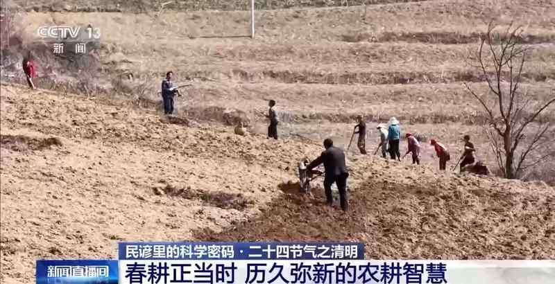 农耕智慧进阶:解码清明气候与高产栽培的深度关联 企业服务