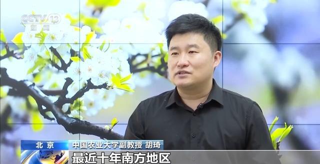  从「清」字溯源到数据验证：清明农谚的科学底层逻辑 文化旅游