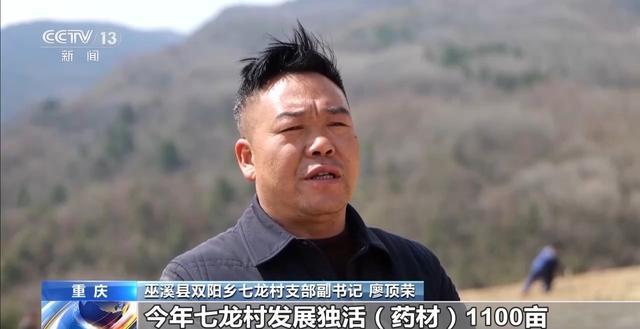  从「清」字溯源到数据验证：清明农谚的科学底层逻辑 文化旅游