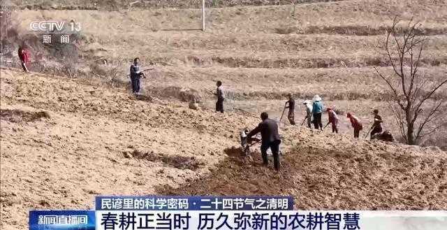  从「清」字溯源到数据验证：清明农谚的科学底层逻辑 文化旅游