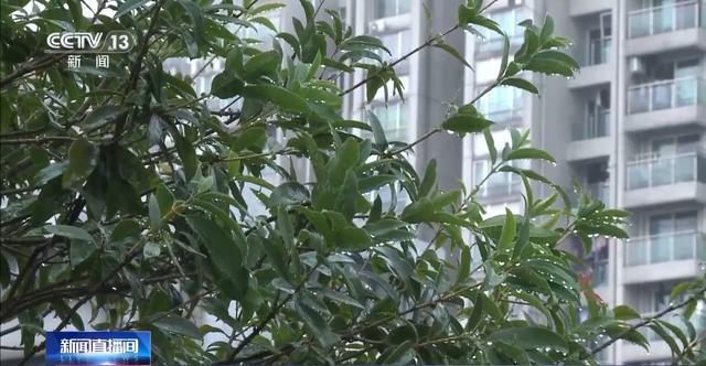  从「清」字溯源到数据验证：清明农谚的科学底层逻辑 文化旅游