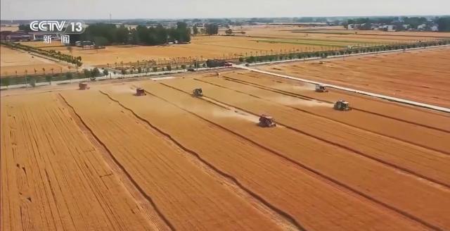  从「清」字溯源到数据验证：清明农谚的科学底层逻辑 文化旅游