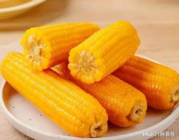  【技术解码】玉米产量登顶却难登饭桌：一场关于营养效率与产业定位的深度拆解 健康养生