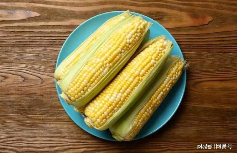  【技术解码】玉米产量登顶却难登饭桌：一场关于营养效率与产业定位的深度拆解 健康养生