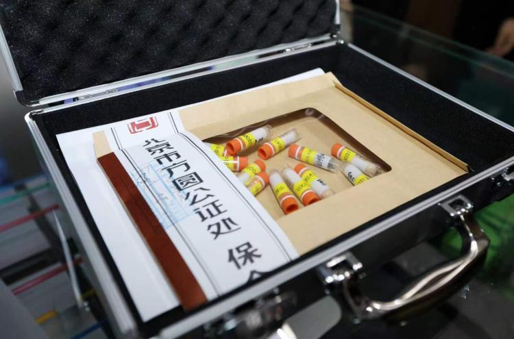  从实验室到黄土地：北航十年科技帮扶的技术底层逻辑 新闻