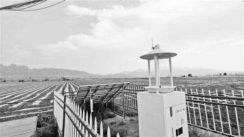  《种地不再“面朝黄土”：一个农民的十年与数字乡村的相遇》 文化旅游 《种地不再“面朝黄土”：一个农民的十年与数字乡村的相遇》 文化旅游