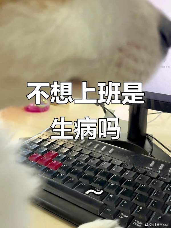  算法囚徒：互联网大厂的时间剥削与个体的系统性困境 企业服务