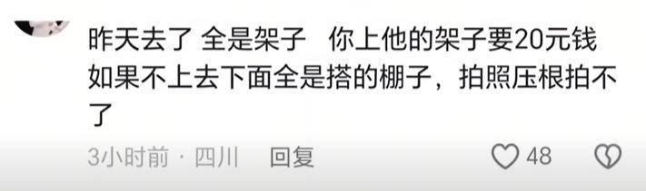  【深度】西昌蓝花楹商业化困局：一场关于公共空间与经济利益的博弈分析 文化旅游