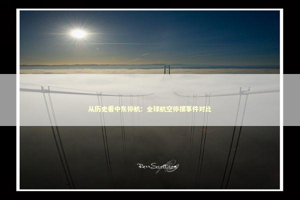 从历史看中东停航：全球航空停摆事件对比