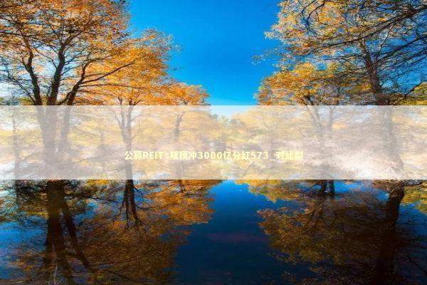 公募REITs规模冲3000亿分红573_对比型 新闻