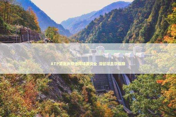 ATP紧急声明迪拜球员安全 滞留球员获保障 新闻