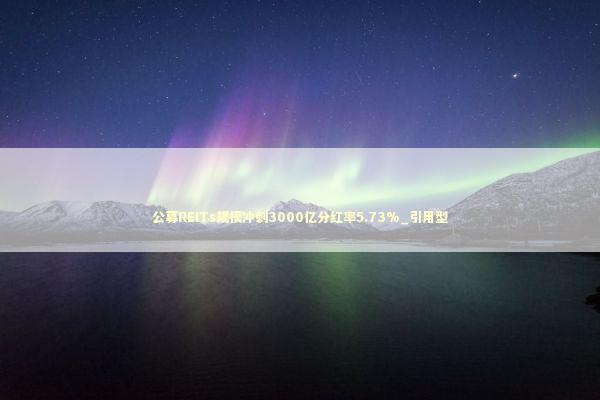 公募REITs规模冲刺3000亿分红率5.73%_引用型 新闻