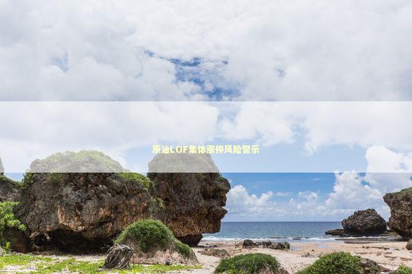 原油LOF集体涨停风险警示 新闻