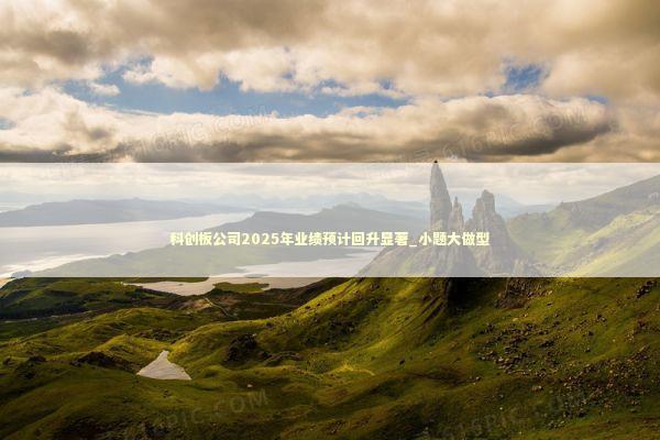 科创板公司2025年业绩预计回升显著_小题大做型 新闻