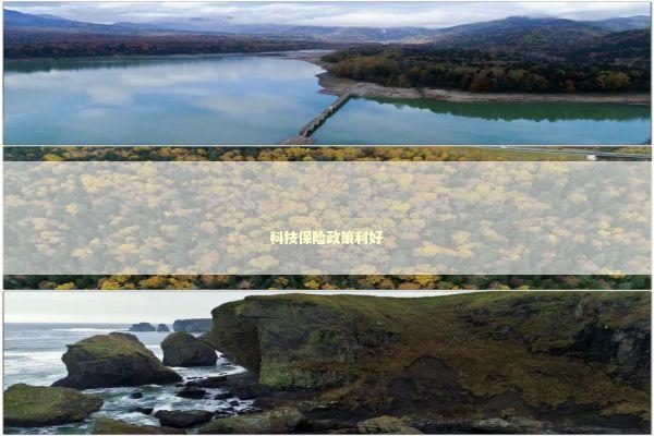 科技保险政策利好