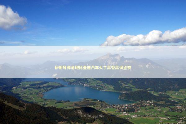 伊朗导弹落地比亚迪汽车火了高管高调点赞 新闻