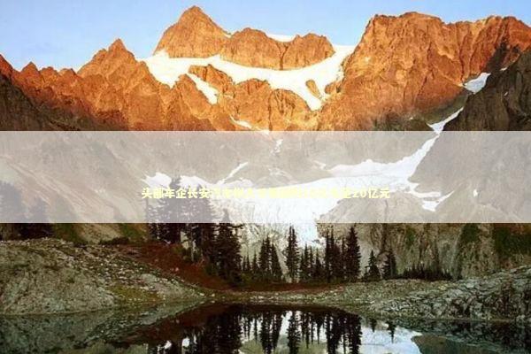 头部车企长安汽车拟大手笔回购10亿元至20亿元 新闻