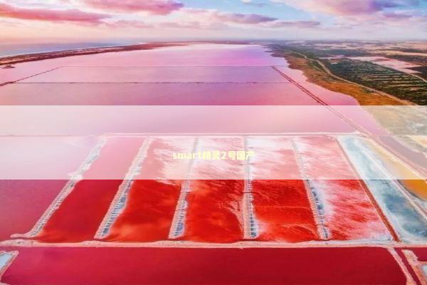 smart精灵2号国产 新闻