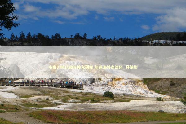 小米240亿欧元投入研发 加速海外高端化_抒情型 新闻