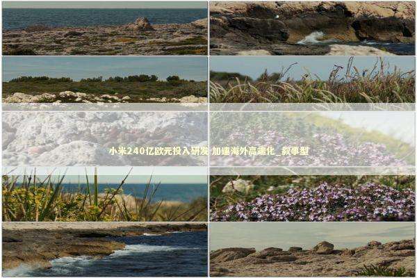 小米240亿欧元投入研发 加速海外高端化_叙事型 新闻