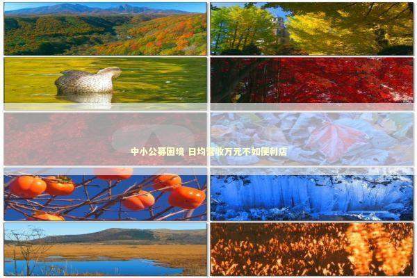 中小公募困境 日均营收万元不如便利店 新闻