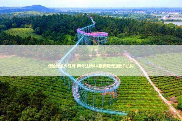 保险行业大洗牌 两年注销60张牌照清退数千机构 新闻