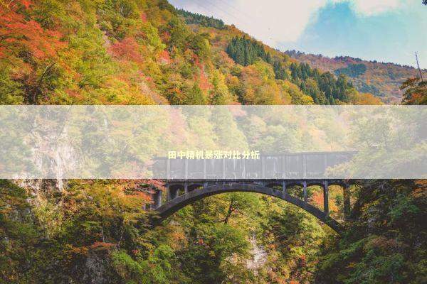 田中精机暴涨对比分析 新闻