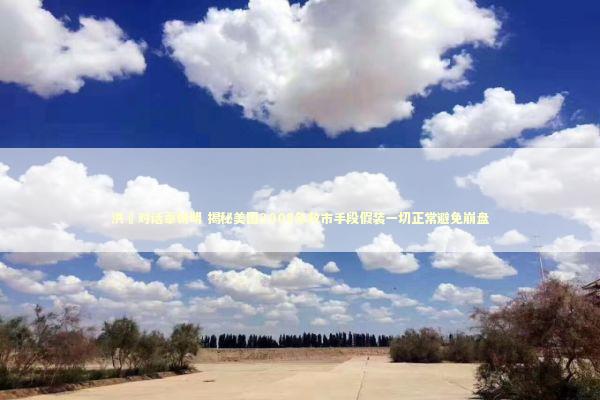 洪灝对话辜朝明 揭秘美国2008年救市手段假装一切正常避免崩盘 新闻