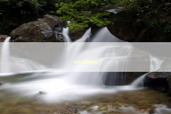 614-医养融合 新闻