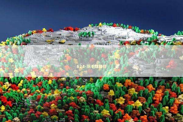 624-羽毛球降价 新闻