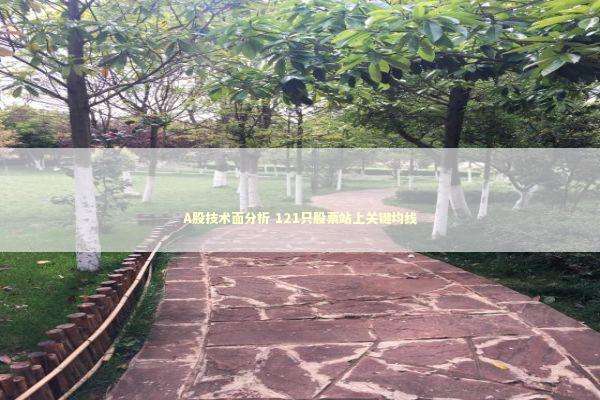 A股技术面分析 121只股票站上关键均线 新闻
