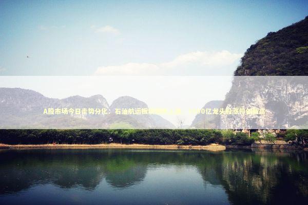 A股市场今日走势分化：石油航运板块强势上涨，1500亿龙头股涨停创新高 新闻