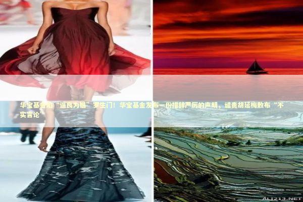 华宝基金陷“逼良为娼”罗生门！华宝基金发布一份措辞严厉的声明，谴责胡延梅散布“不实言论” 新闻