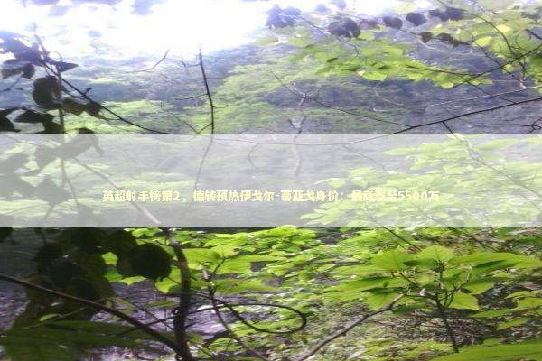 英超射手榜第2，德转预热伊戈尔-蒂亚戈身价：最高涨至5500万 新闻