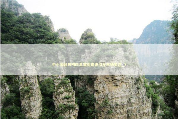 中小金融机构改革重组提速引发市场关注_7 新闻