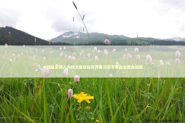 十四届全国人大四次会议在京开幕习近平等在主席台就座 新闻