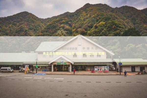 央企退市释放什么信号 房地产转型迫在眉睫 新闻